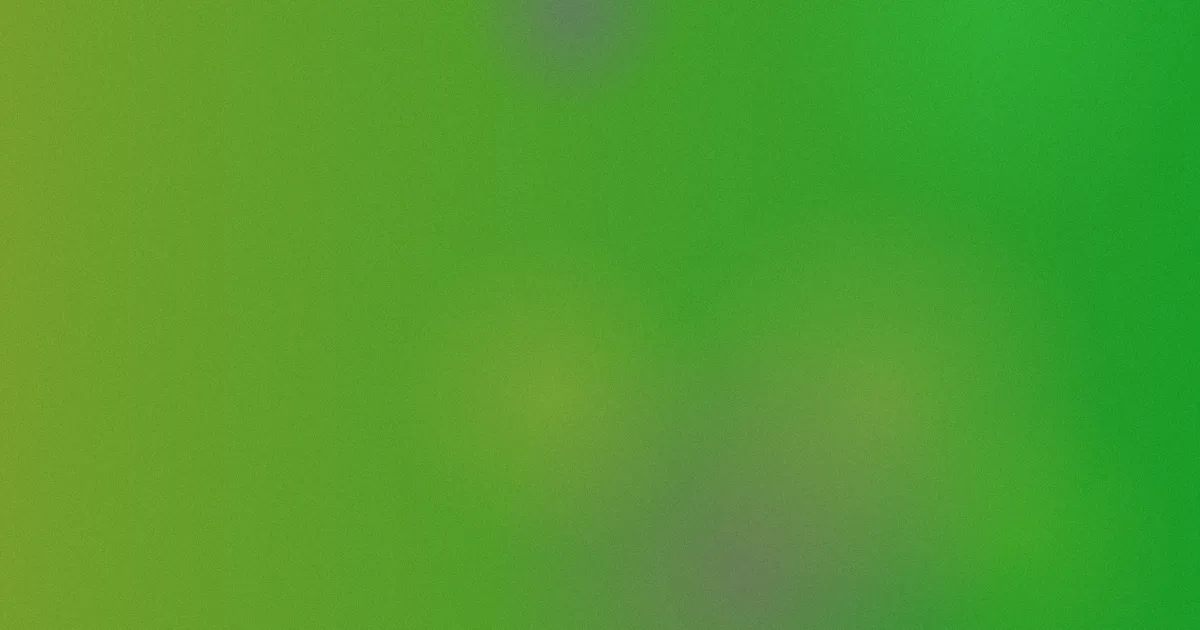 五月激情值得吗：看片前清单